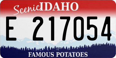 ID license plate E217054