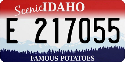 ID license plate E217055