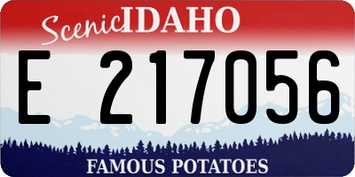 ID license plate E217056