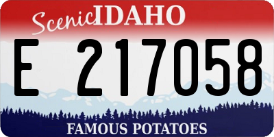 ID license plate E217058