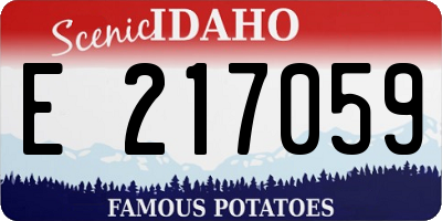 ID license plate E217059