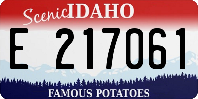 ID license plate E217061