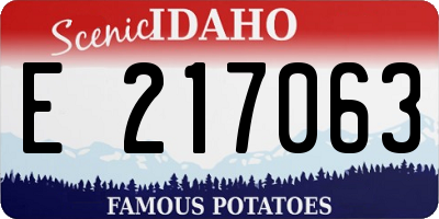 ID license plate E217063