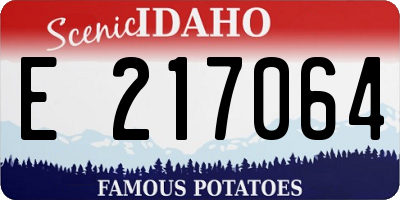 ID license plate E217064