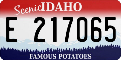 ID license plate E217065