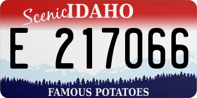 ID license plate E217066