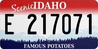 ID license plate E217071