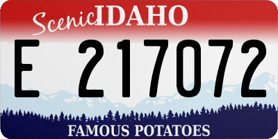 ID license plate E217072