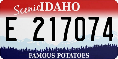ID license plate E217074