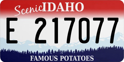 ID license plate E217077