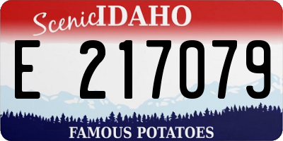 ID license plate E217079