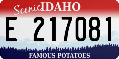 ID license plate E217081