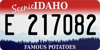 ID license plate E217082