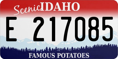 ID license plate E217085