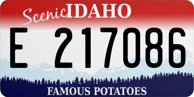 ID license plate E217086