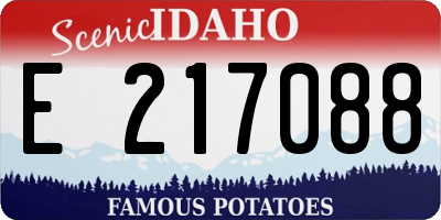 ID license plate E217088
