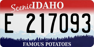 ID license plate E217093
