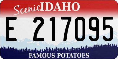 ID license plate E217095