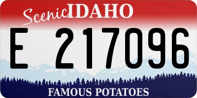 ID license plate E217096