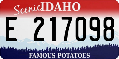 ID license plate E217098