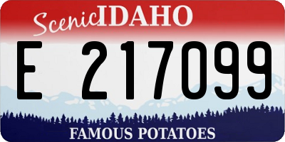 ID license plate E217099