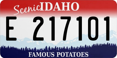 ID license plate E217101