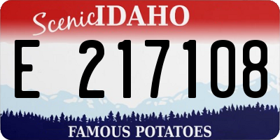 ID license plate E217108