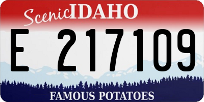 ID license plate E217109