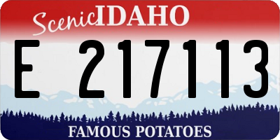 ID license plate E217113