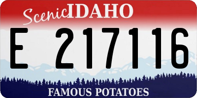 ID license plate E217116