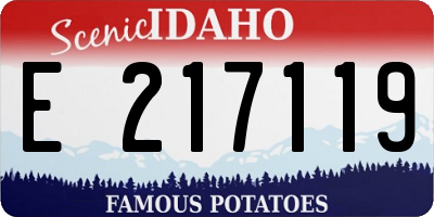ID license plate E217119