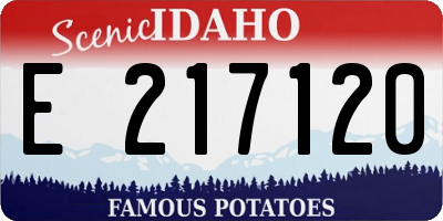 ID license plate E217120