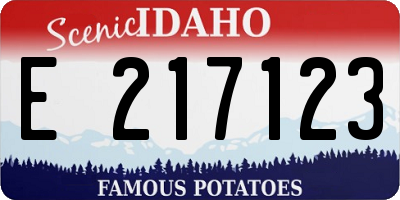ID license plate E217123