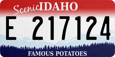 ID license plate E217124
