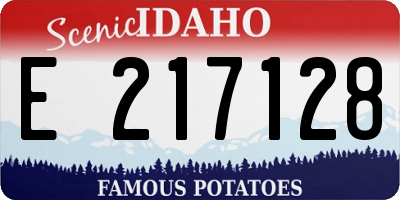 ID license plate E217128