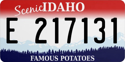 ID license plate E217131