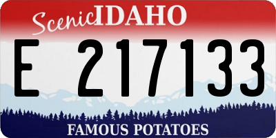 ID license plate E217133