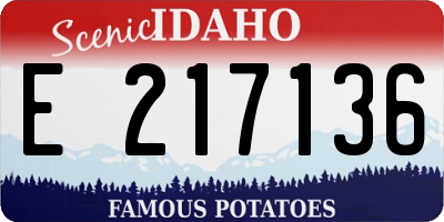 ID license plate E217136