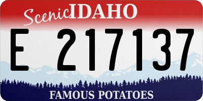 ID license plate E217137