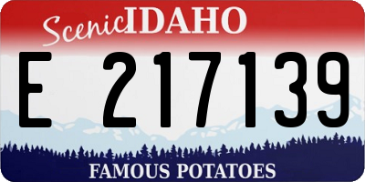 ID license plate E217139