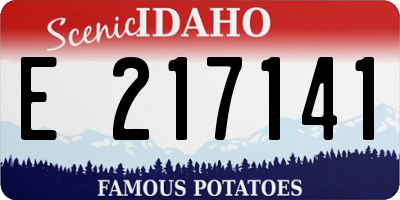 ID license plate E217141