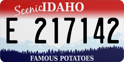 ID license plate E217142