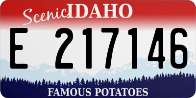 ID license plate E217146