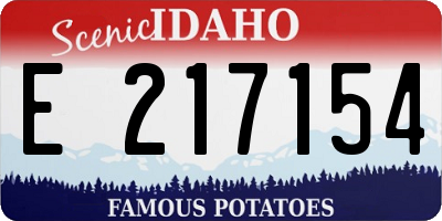 ID license plate E217154