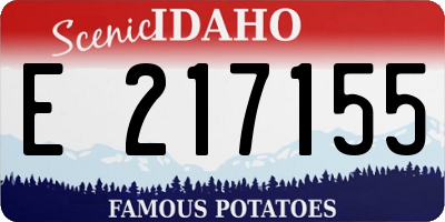 ID license plate E217155