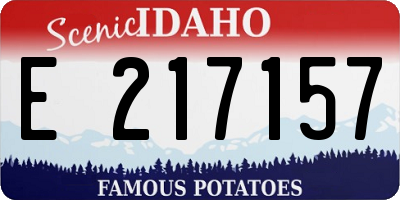 ID license plate E217157