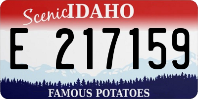 ID license plate E217159
