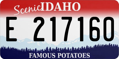 ID license plate E217160