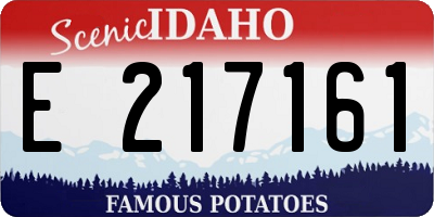 ID license plate E217161