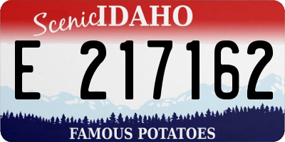 ID license plate E217162
